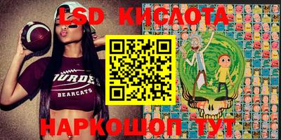 сатива Аргун