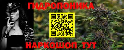 сатива Аргун