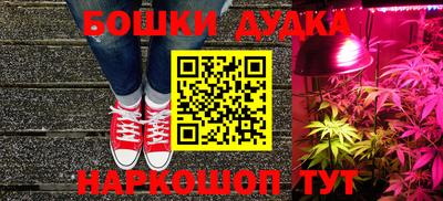 сатива Аргун
